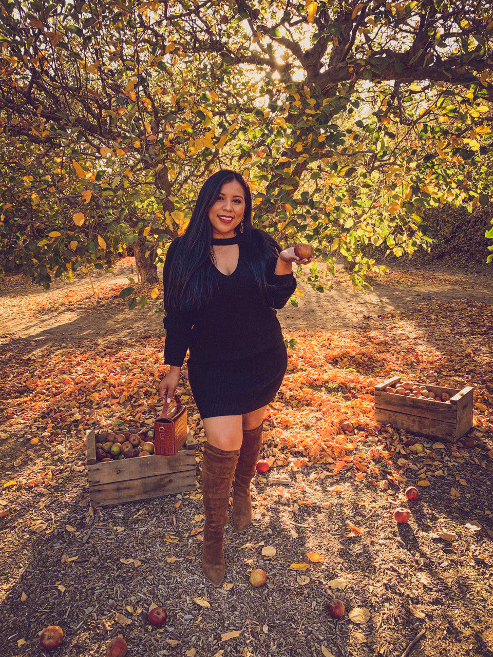 SUZETTE SWEATER DRESS